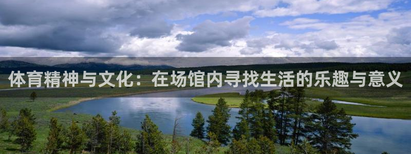 体育精神与文化：在场馆内寻找生活的乐趣与意义