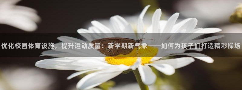 优化校园体育设施，提升运动质量：新学期新气象——如何为孩子们打造精彩操场