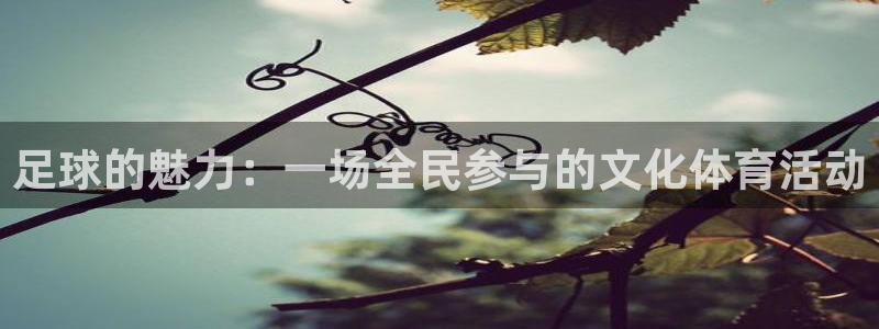 足球的魅力：一场全民参与的文化体育活动
