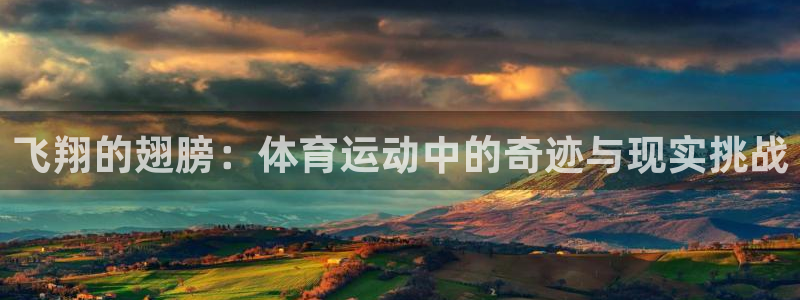 飞翔的翅膀：体育运动中的奇迹与现实挑战