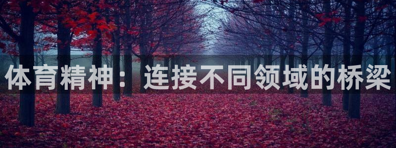 体育精神：连接不同领域的桥梁