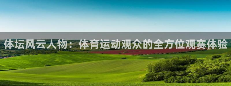 体坛风云人物：体育运动观众的全方位观赛体验