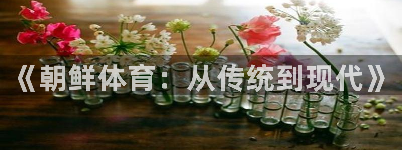《朝鲜体育：从传统到现代》