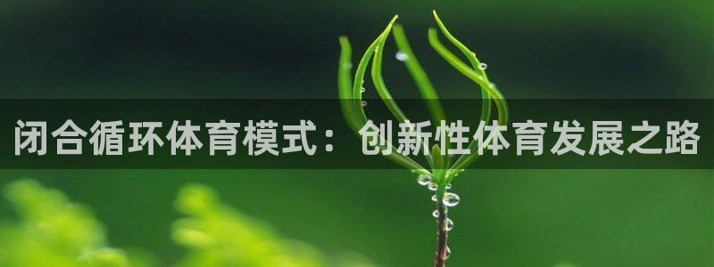 闭合循环体育模式：创新性体育发展之路