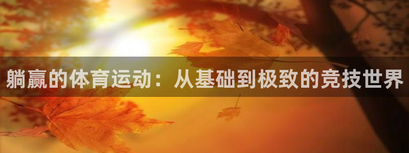 躺赢的体育运动：从基础到极致的竞技世界