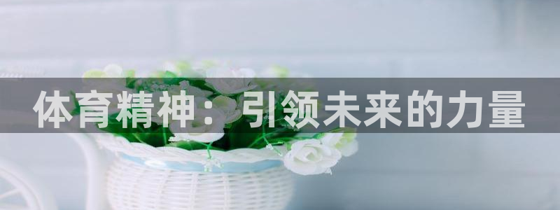 体育精神：引领未来的力量